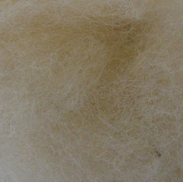 Bewitching Fibers Needle Felting Carded Wool - 8 ounce - Sand