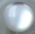 #w0920150 Round 10 mm  (3/8 inch) Pearl Fashion Button