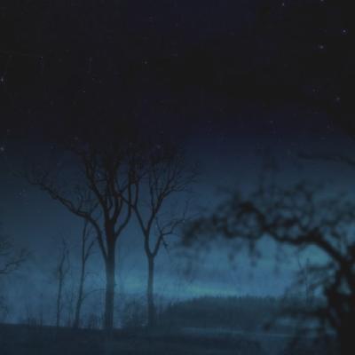 Ivy Brambles Enrapture Light Yarn - 127 Night Sky