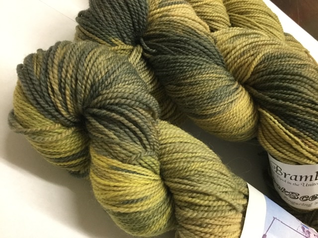 Ivy Brambles SockScene Sock Yarn - Thicket Ivy Brambles SockScene Sock Yarn - Thicket