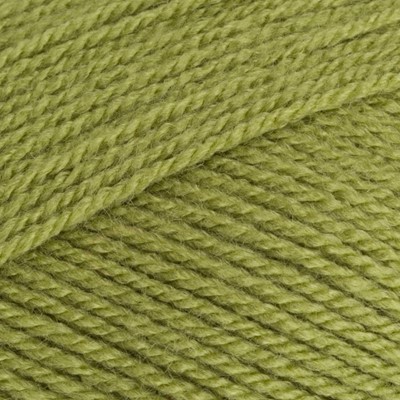 Stylecraft Yarns Special Double Knit 1065 Meadow